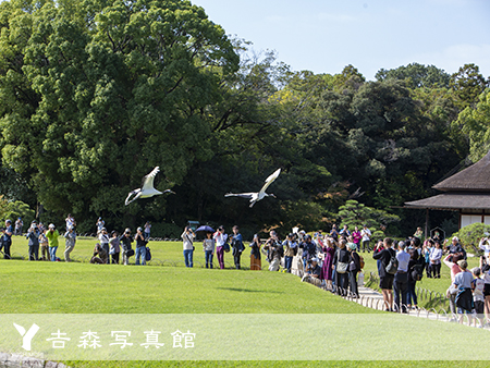 ２日連続で岡山後楽園にて結婚式当日の新郎新婦おふたりのポーズ写真とご親族集合写真撮影に行ってきました 証明写真や記念写真 衣装レンタルなら岡山の吉森写真館へ